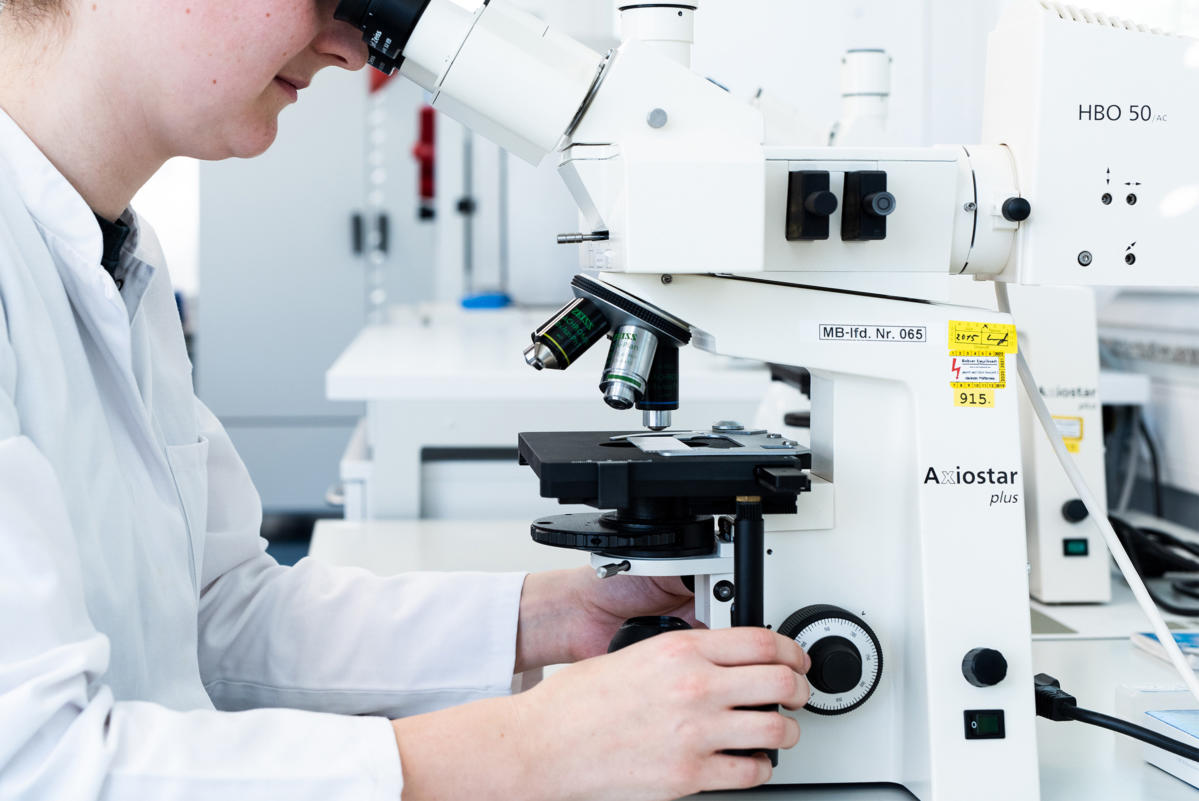 Micro Lab Analyses Microbiology - One Scientific